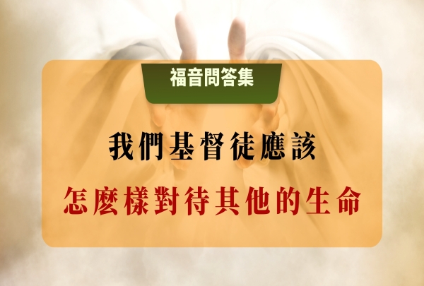 我們基督徒應該怎麽樣對待其他的生命？