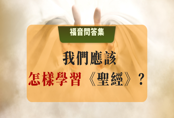 我們應該怎樣學習《聖經》？